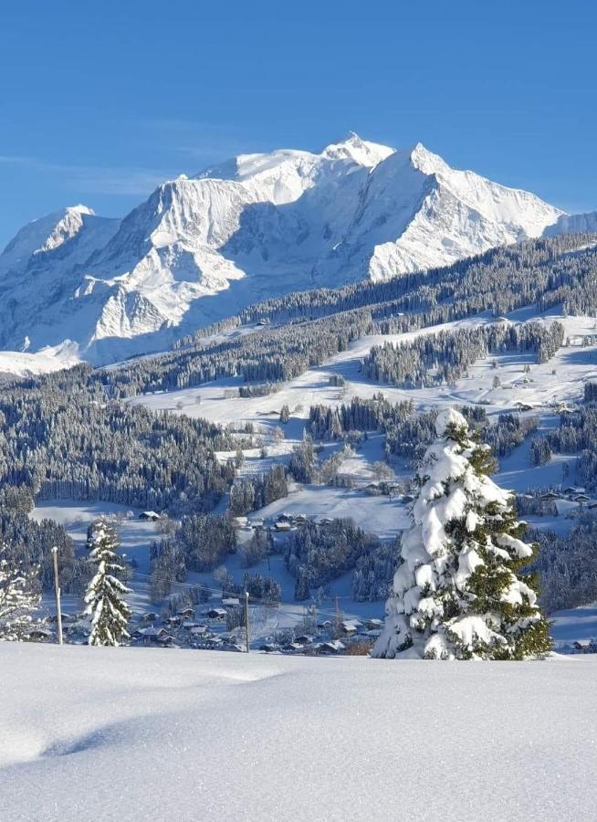 Le Sapin B19 Megeve - Demi Quartier Daire Dış mekan fotoğraf
